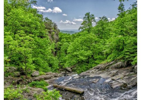 塾講師アシスタント【Zoom可】