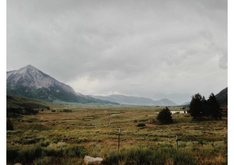 ヨガ入門セッション（週2まで）