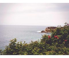 ストレッチ講座【HIT】